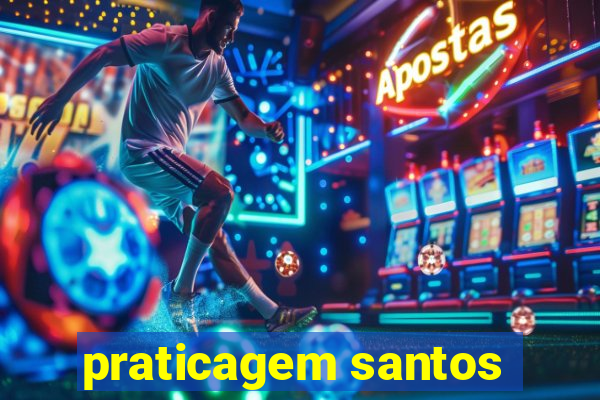 praticagem santos